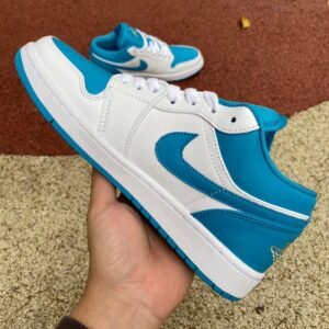 Air jordan 1 aquaton